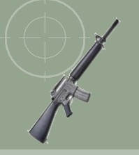 M-16 Weapon Racks