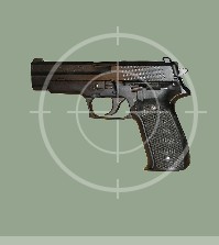 Sig P226 Pistols